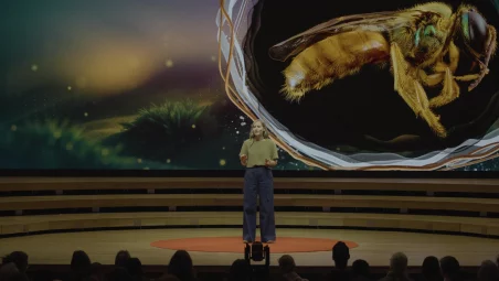 tedx stage speaker video production